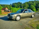 W124_300D.jpg