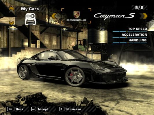 1_cayman.JPG