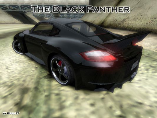 THE BLACK PANTHER
