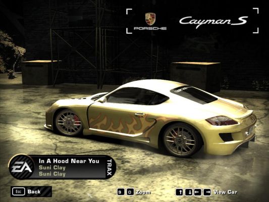 Cayman 2.JPG