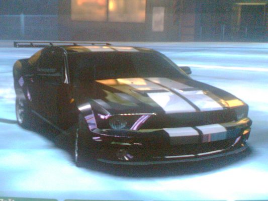 My shelby
