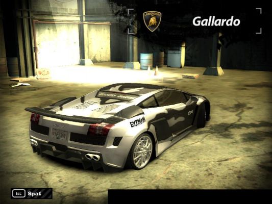 Gallardo white black
