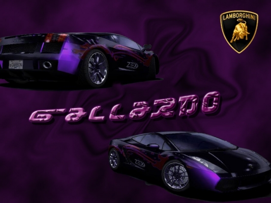 Lamborghini Gallardo 
