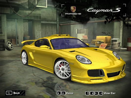 Porsche Cayman S (2)
