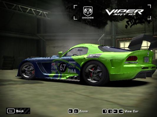 Viper.2.JPG