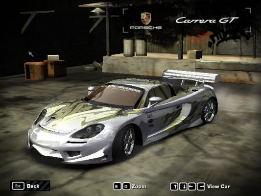 carrera GT.2.JPG