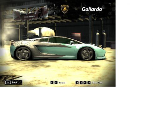 Gallardo
