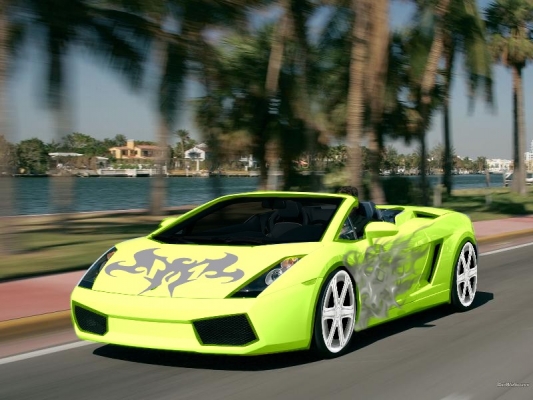 lambo
