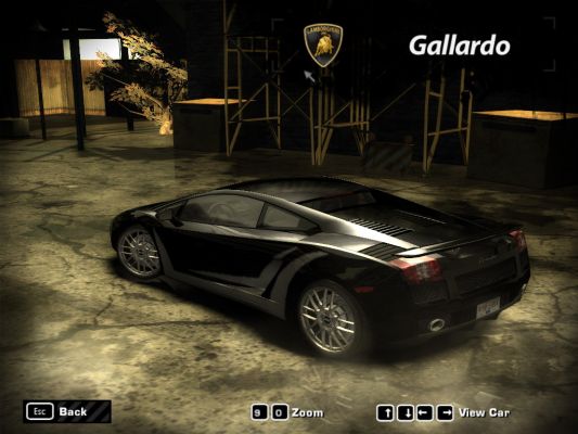 Gallardo
