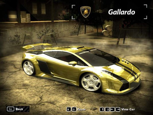 Gallardo
