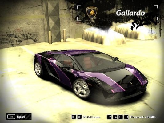 SPY GALLARDO
