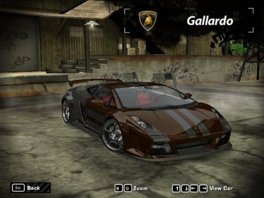 gallardo
