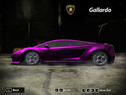 Gallardo ala Bam Margera
