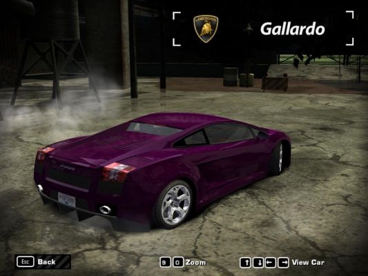 Gallardo ala Bam Margera
