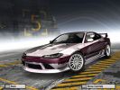 Elegant Silvia.jpg