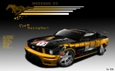 Mustang pree.jpg