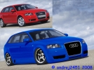 a3sportback05_01 copy.jpg