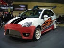 ford_fiesta_st_01 kopie.jpg