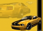 mustang yellow.jpg