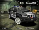 police SUV.JPG